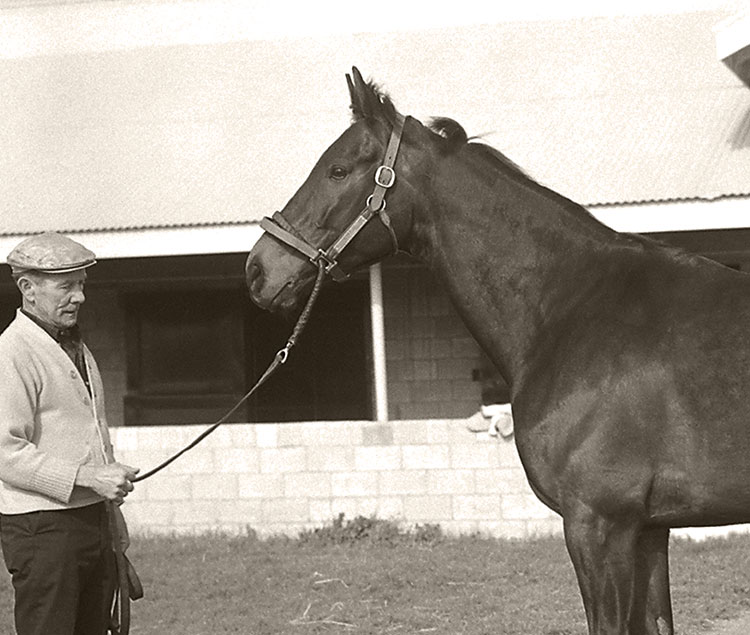 Kelso: The Legendary Champion Racehorse Who Defined an Era